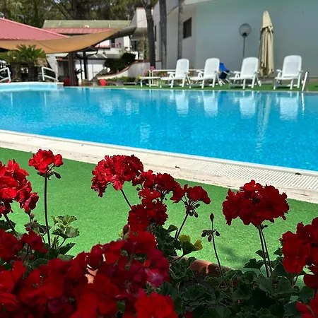 Marina Hotel