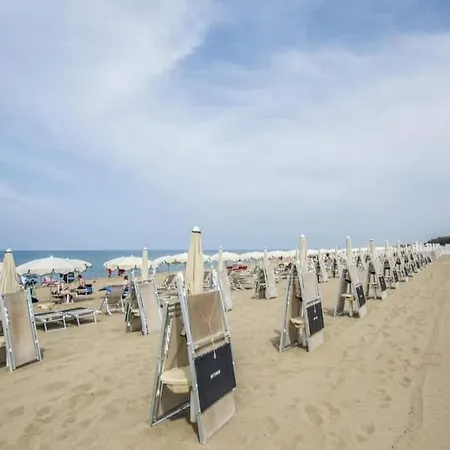 Marina Capaccio